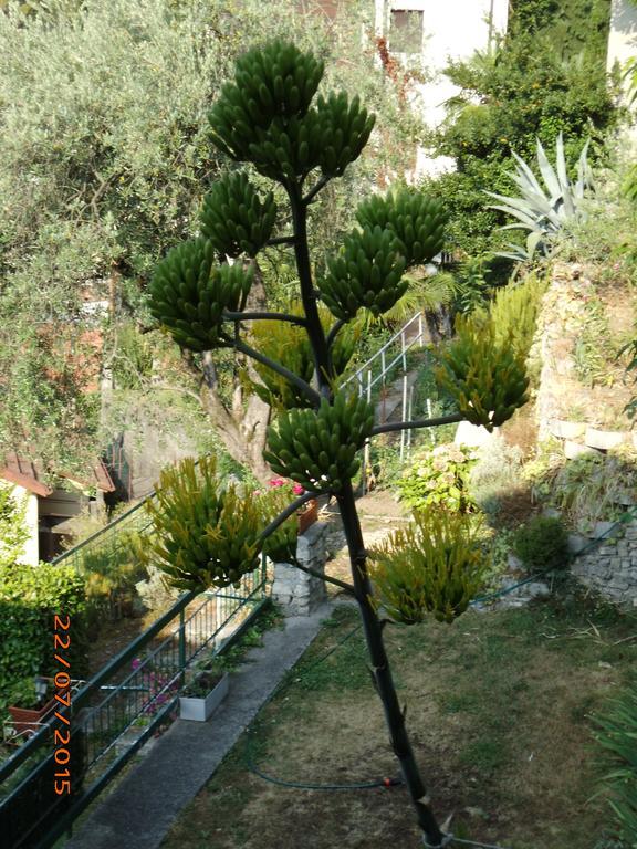 Villa Bianca Valsolda Luaran gambar